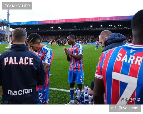 古比斯前锋帕兹切克对阵水晶宫建功，助球队客场取分